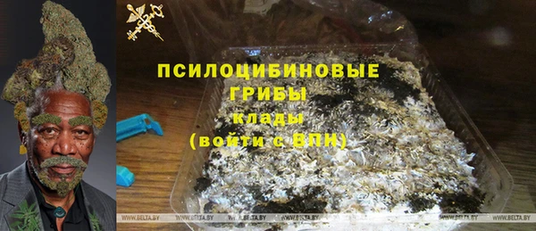 гашик Куйбышев
