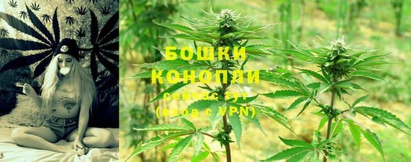 гашик Куйбышев