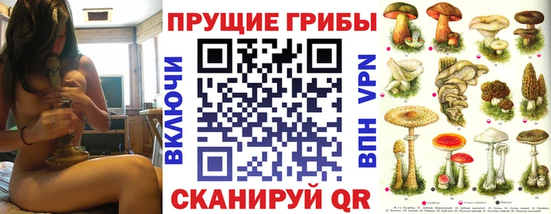 Купить  Сатка  Псилоцибиновые грибы Cubensis 